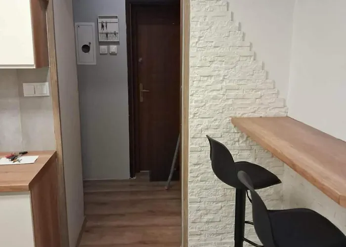 Apartment Przytulny Gliwice